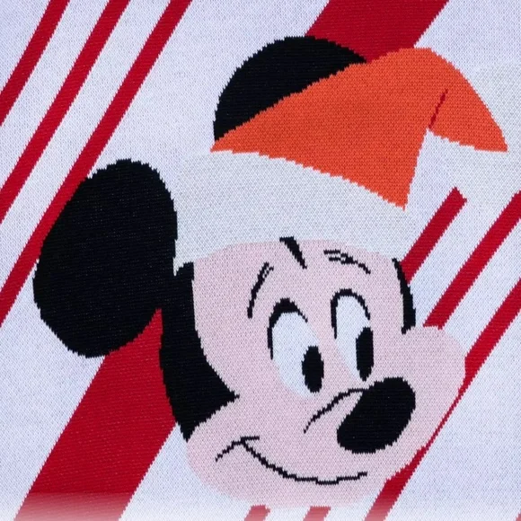 PLUS SIZE 3XL Minnie Mouse Holiday Family Matching Sweater Women's